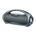 Fusce ullamcorper dapibus