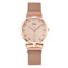 Mesh Simple Ladies Watch - Rose Gold