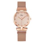 Mesh Simple Ladies Watch - Rose Gold